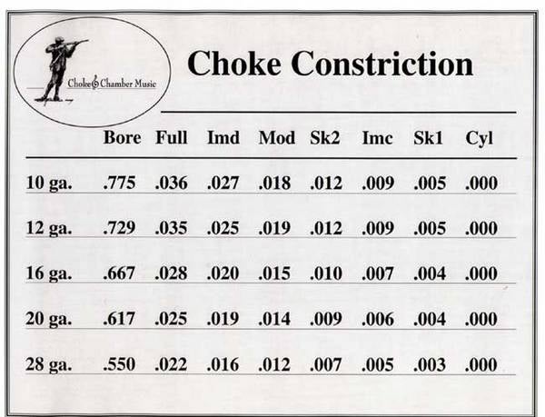 20 Gauge Choke Tube Chart